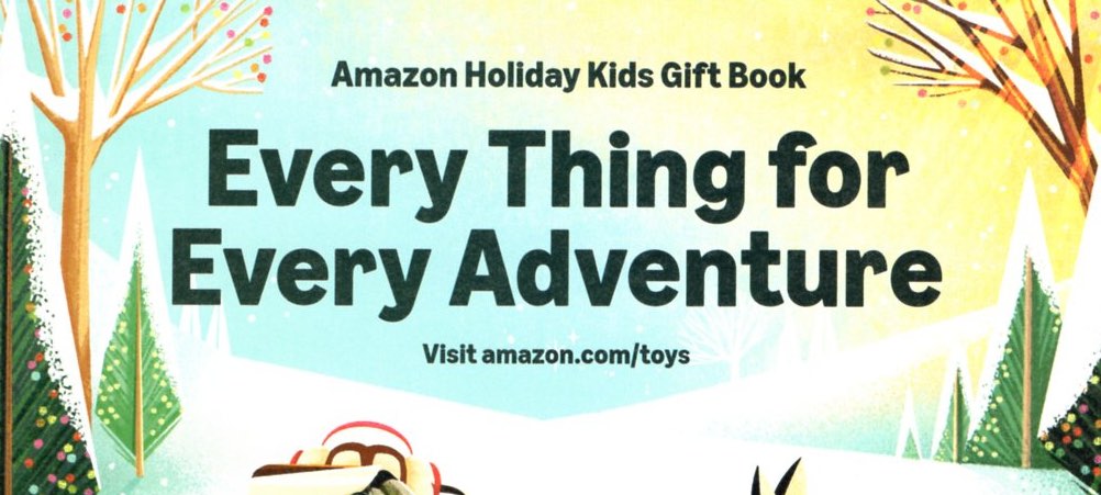 amazon 2025 catalog header