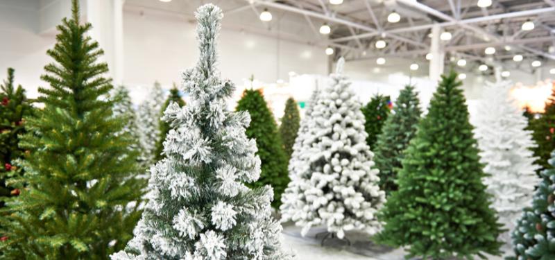christmas trees in a store